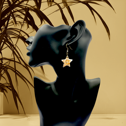These Pretty Things Azura Collection Small Star Hook Earrings