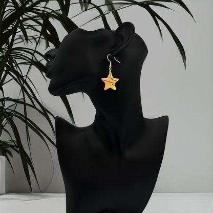 These Pretty Things Bijoux Tiger Collection Small Star Hook Earrings